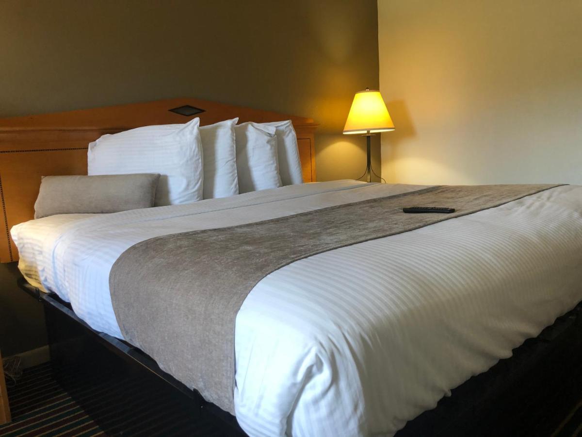 Budget Inn Timmonsville Exteriör bild